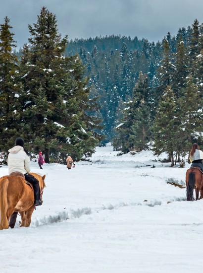 Ιππασία Περτούλι
