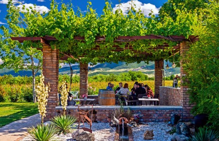 Filia Gi Winery in Sofades, Karditsa