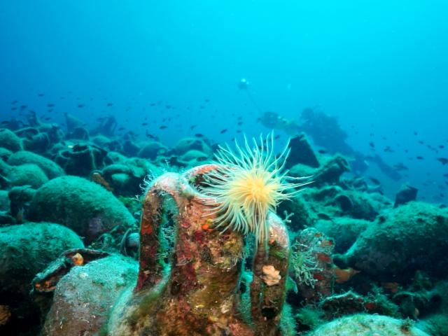 Alonissos: Treasures from the Depths of History