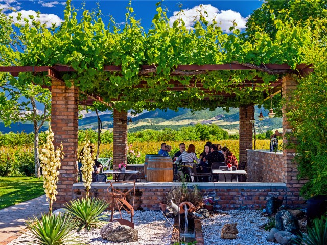 Filia Gi Winery in Sofades, Karditsa
