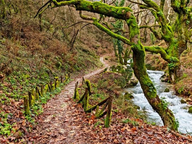 Walk the Path of Asclepius